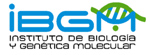 IBGM.jpg
